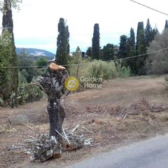 Οικόπεδο 781 τ.μ. για πώληση, Ν. Κέρκυρας, Κέρκυρα-thumb-3