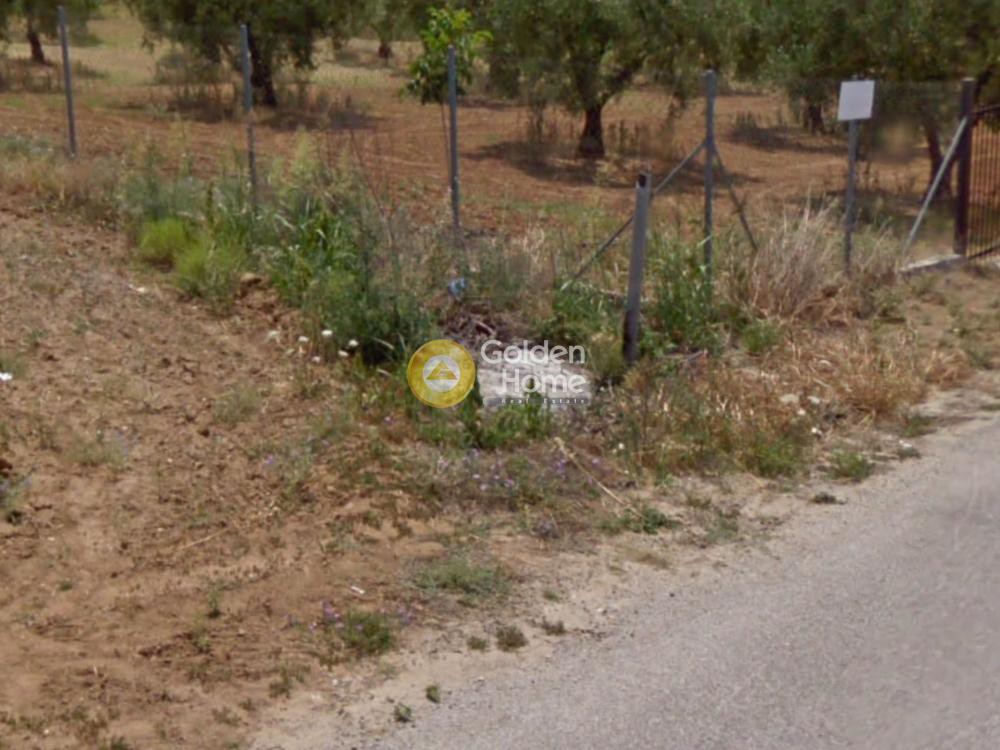 Αγροτεμάχια 4.500 τ.μ. προς πώληση, Κάτω Σχολάρι