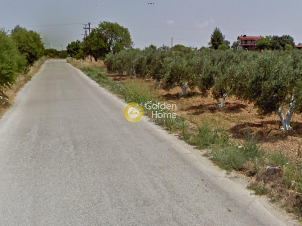 Αγροτεμάχια 4.500 τ.μ. προς πώληση, Κάτω Σχολάρι
