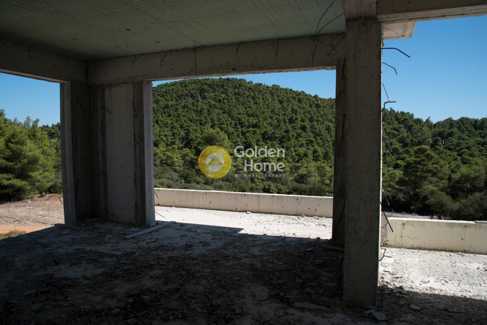 Οικόπεδο 7.300 τ.μ. προς πώληση, Καπιτένια