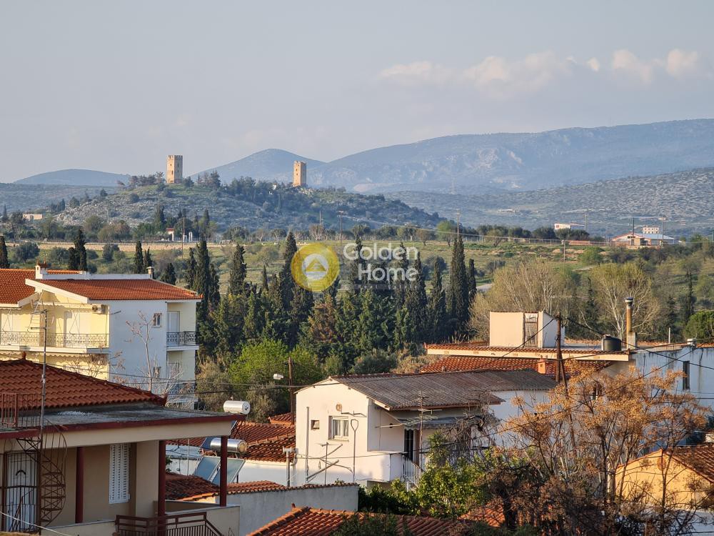 Μονοκατοικία 350 τ.μ. προς πώληση, Εύβοια, Ληλάντιο