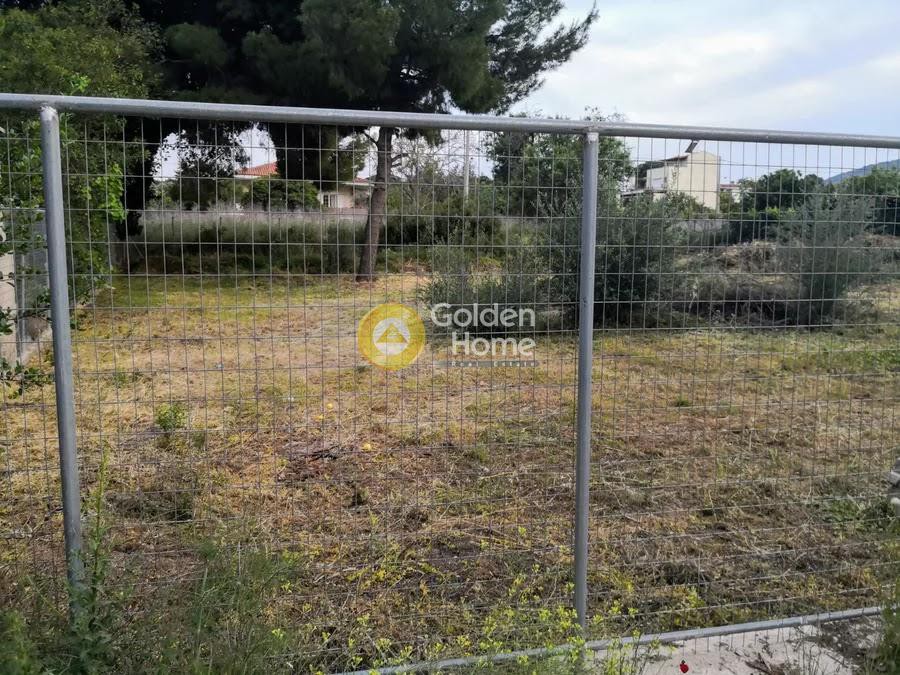 Οικόπεδο 800 τ.μ. προς πώληση, Κέντρο Νέας Μάκρης