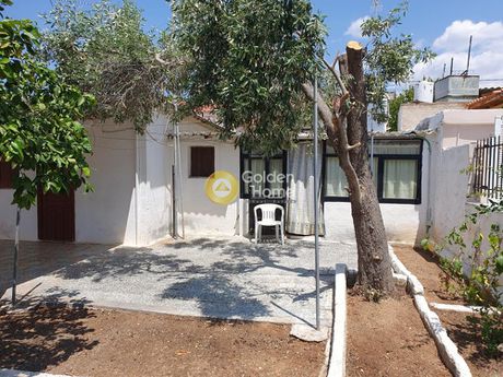 Μονοκατοικία 125τ.μ. για πώληση-Σαλαμίνα » Βασιλικά