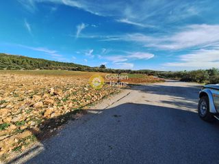 Αγροτεμάχια 11.880 τ.μ. πρός πώληση, Εύβοια, Ληλάντιο-thumb-2