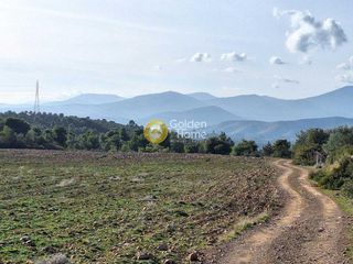 Αγροτεμάχια 11.880 τ.μ. για πώληση