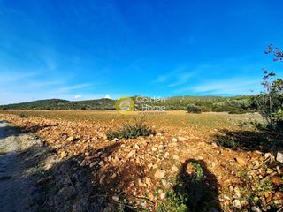 Αγροτεμάχια 11.880 τ.μ. πρός πώληση, Εύβοια, Ληλάντιο-thumb-4
