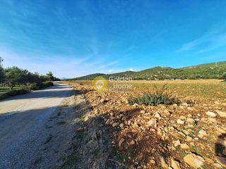 Αγροτεμάχια 11.880 τ.μ. πρός πώληση, Εύβοια, Ληλάντιο-thumb-11
