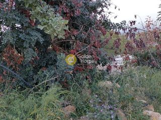 Οικόπεδο 661 τ.μ. για πώληση, Ν. Ηρακλείου, Μοίρες-thumb-14
