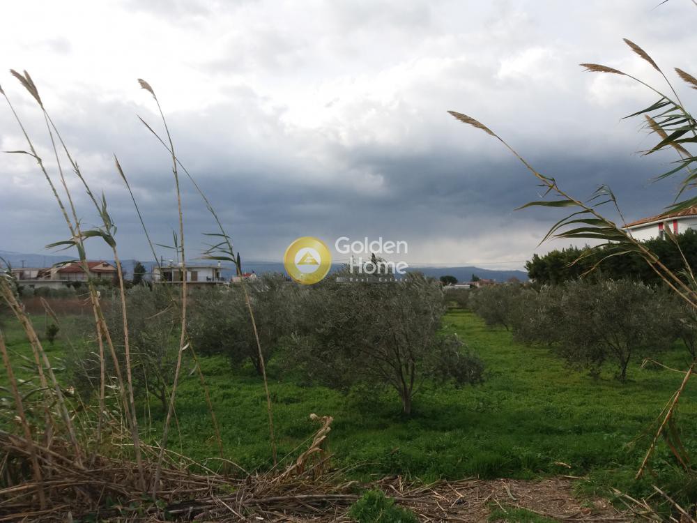 Οικόπεδο 2.346 τ.μ. προς πώληση, Άσσος Κορινθίας