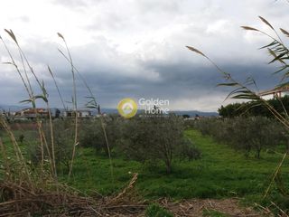 Οικόπεδο 2.346 τ.μ. για πώληση, Κορινθία, Άσσος-Λεχαίο-thumb-2