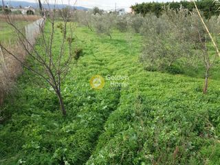 Οικόπεδο 2.346 τ.μ. για πώληση, Κορινθία, Άσσος-Λεχαίο-thumb-6
