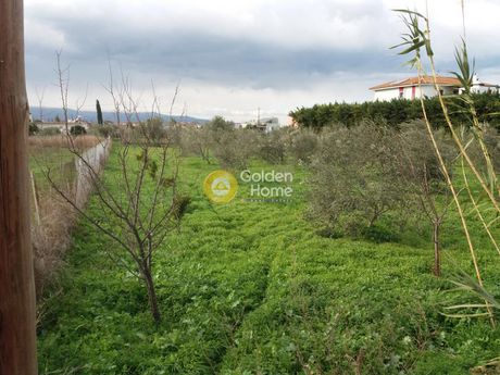 Οικόπεδο 2.346τ.μ. για πώληση-Άσσος-λεχαίο » Άσσος