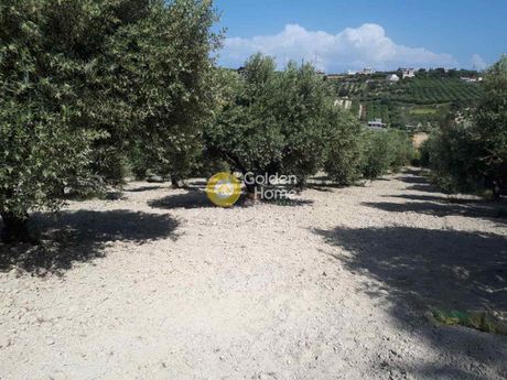 Οικόπεδο 5.300 τ.μ. για πώληση
