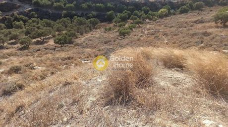 Οικόπεδο 2.500 τ.μ. για πώληση