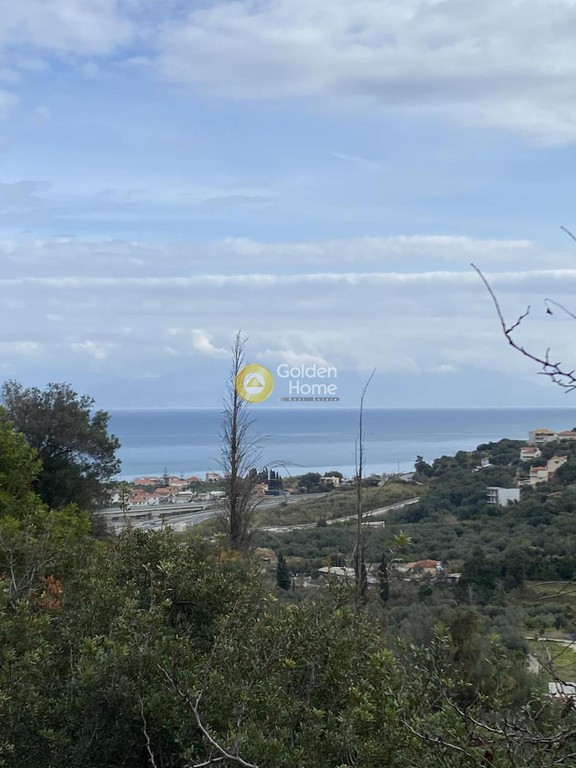 Οικόπεδο 2.000 τ.μ. προς πώληση, Οικονομαίικα Αιγείρας