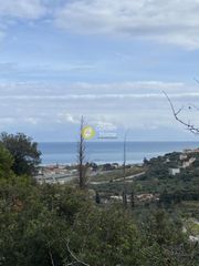 Οικόπεδο 2.000 τ.μ. για πώληση, Αχαΐα, Αιγείρα-thumb-3