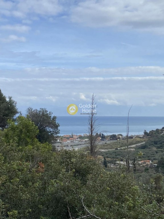 Οικόπεδο 2.000 τ.μ. προς πώληση, Οικονομαίικα Αιγείρας