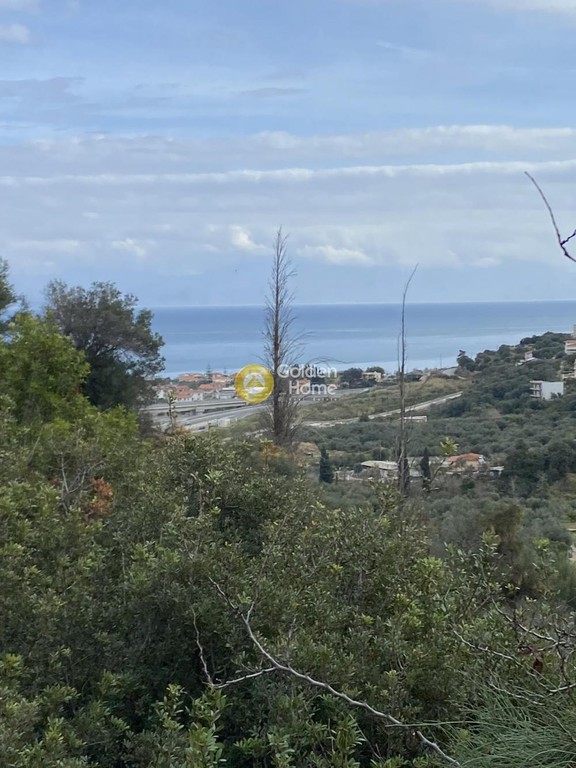 Οικόπεδο 2.000 τ.μ. προς πώληση, Οικονομαίικα Αιγείρας