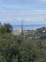 Οικόπεδο 2.000 τ.μ. για πώληση, Αχαΐα, Αιγείρα-thumb-4