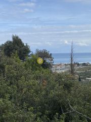 Οικόπεδο 2.000 τ.μ. για πώληση, Αχαΐα, Αιγείρα-thumb-6