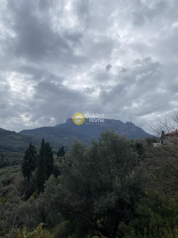 Οικόπεδο 2.000 τ.μ. προς πώληση, Οικονομαίικα Αιγείρας