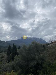 Οικόπεδο 2.000 τ.μ. για πώληση, Αχαΐα, Αιγείρα-thumb-2