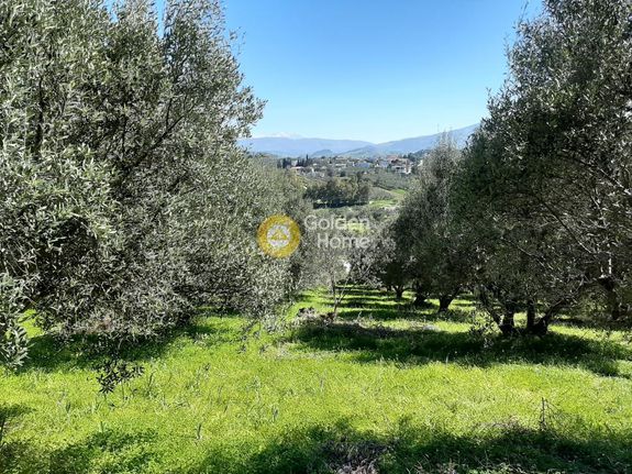 Οικόπεδο 2.900 τ.μ. για πώληση, Ν. Ηρακλείου, Τετραχώρι