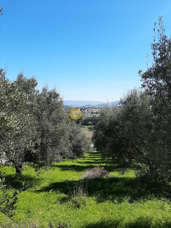 Οικόπεδο 2.900 τ.μ. προς πώληση, Βενεράτο