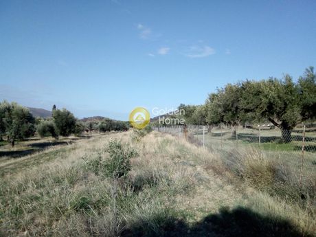 Οικόπεδο 9.960τ.μ. για πώληση-Κερατέα » Αρί