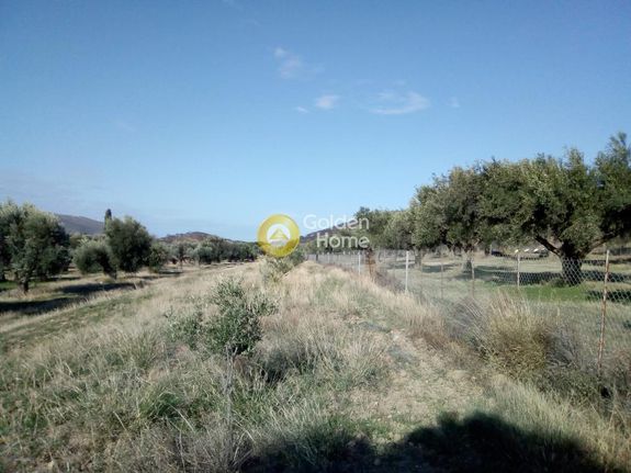 Οικόπεδο 9.960 τ.μ. για πώληση, Αττική - Υπόλοιπο, Κερατέα