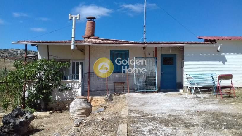 Αγροτεμάχια 1.900 τ.μ. προς πώληση, Άγιος Κωνσταντίνος Αττικής