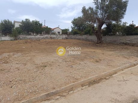 Οικόπεδο 555τ.μ. για πώληση-Σπάτα » Χριστούπολη