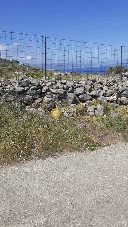 Οικόπεδο 200.000 τ.μ. προς πώληση, Νεάπολη Λασιθίου