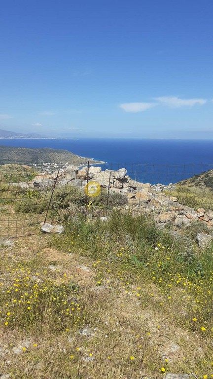 Οικόπεδο 200.000 τ.μ. προς πώληση, Νεάπολη Λασιθίου