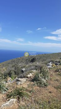 Οικόπεδο 200.000τ.μ. για πώληση-Νεάπολη