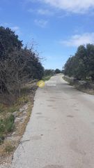 Οικόπεδο 200.000 τ.μ. για πώληση, Ν. Λασιθίου, Νεάπολη-thumb-6