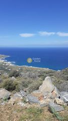 Οικόπεδο 200.000 τ.μ. για πώληση, Ν. Λασιθίου, Νεάπολη-thumb-3