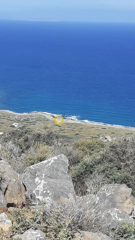 Οικόπεδο 200.000 τ.μ. προς πώληση, Νεάπολη Λασιθίου