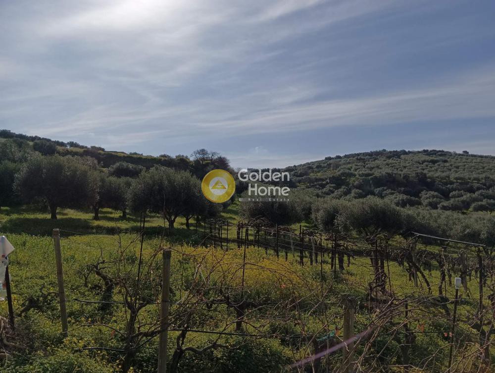 Οικόπεδο 5.300 τ.μ. προς πώληση, Σκαλάνι