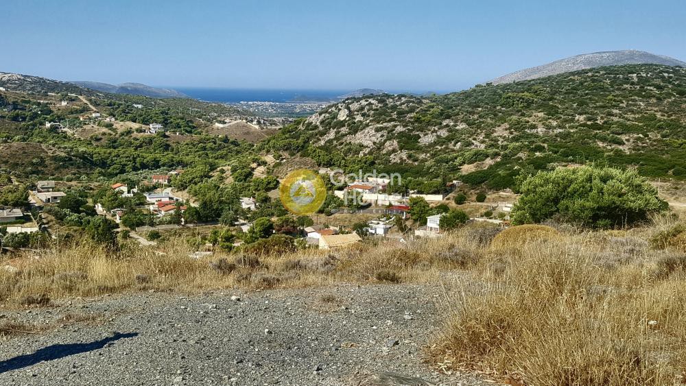 Αγροτεμάχια 1.004 τ.μ. προς πώληση, Σάκκα