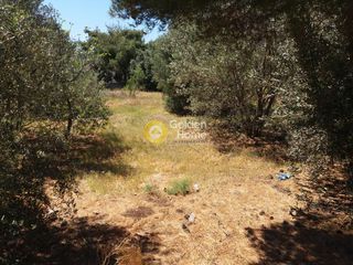 Οικόπεδο 897 τ.μ. πρός πώληση, Δωδεκάνησα, Λέρος-thumb-2