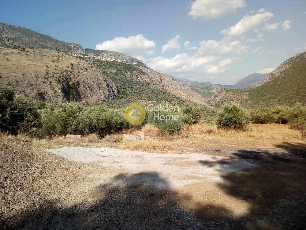 Αγροτεμάχια 7.200 τ.μ. προς πώληση, Χρισσό