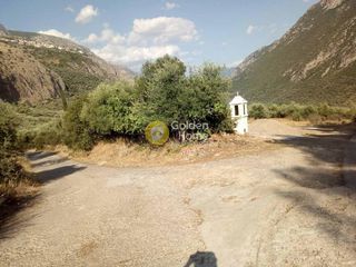 Αγροτεμάχια 7.200 τ.μ. για πώληση, Φωκίδα, Δελφοί-thumb-3