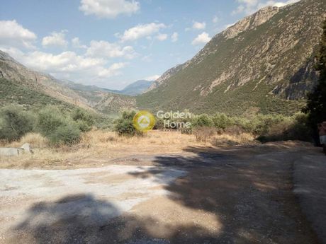 Αγροτεμάχια 7.200τ.μ. για πώληση-Δελφοί » Χρισσό