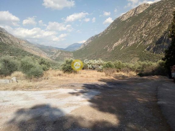 Αγροτεμάχια 7.200 τ.μ. για πώληση, Φωκίδα, Δελφοί