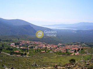 Αγροτεμάχια 7.200 τ.μ. για πώληση, Φωκίδα, Δελφοί-thumb-9