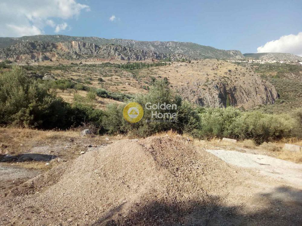 Αγροτεμάχια 7.200 τ.μ. προς πώληση, Χρισσό