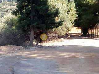 Αγροτεμάχια 7.200 τ.μ. για πώληση, Φωκίδα, Δελφοί-thumb-1