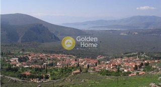 Αγροτεμάχια 7.200 τ.μ. για πώληση, Φωκίδα, Δελφοί-thumb-10
