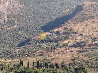 Αγροτεμάχια 7.200 τ.μ. για πώληση, Φωκίδα, Δελφοί-thumb-8